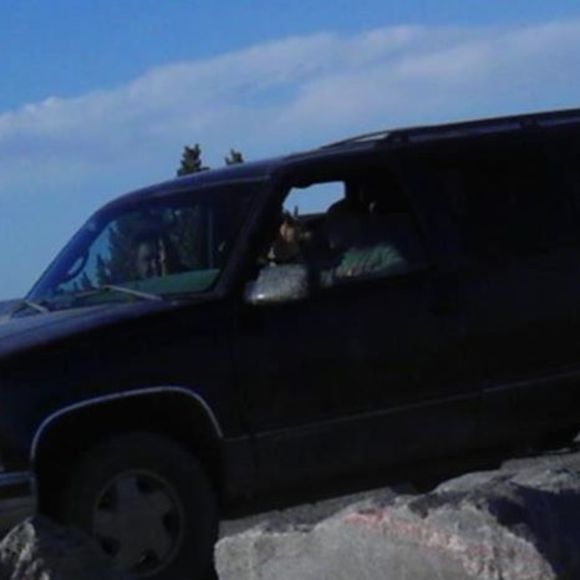 Meet your Posher, Tobias alicia - Picture 1 of 1